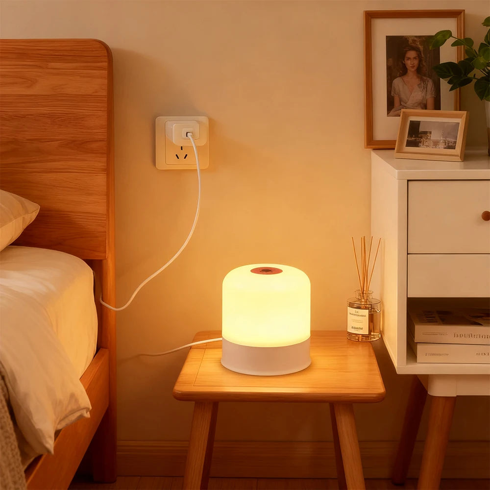 LED Night Light Dimmable Rechargeable/Plug-in Desktop Bedroom Bedside Lighting Decorative Touchscreen Reading RGB Desk Lamp