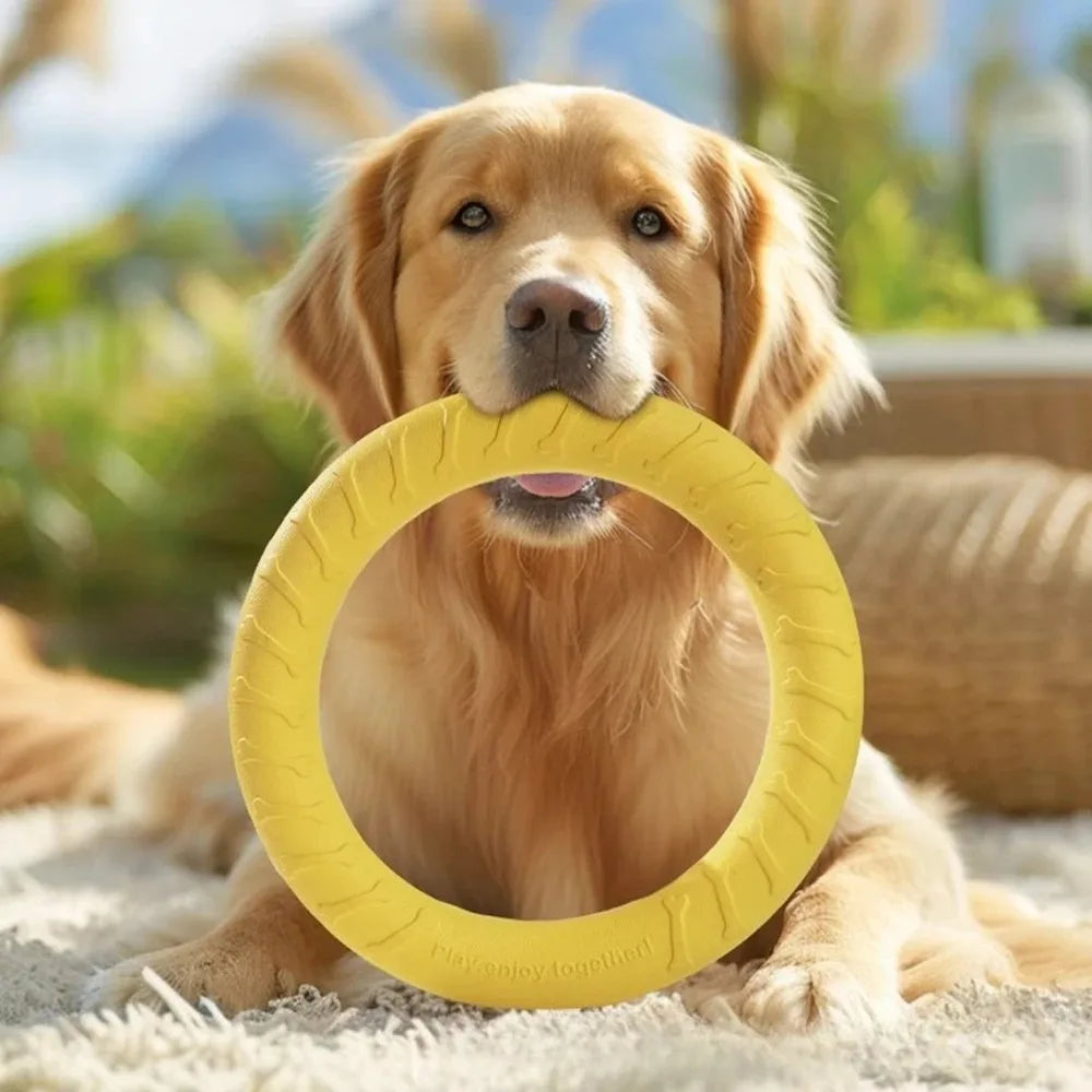 Dog Toy Training Ring Puller Puppy Flying Disk Chewing Toys Throwing Catching Flying Outdoor Interactive Toy Pet Supplies