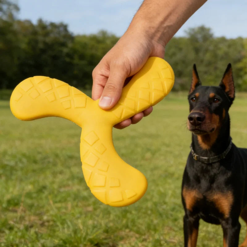 Dogs Eva Boomerang Flying Disc Play Tooth Chew Toy Indestructible Safe Large Dog Tough Toys Resistant Pet Supplies Water Toys