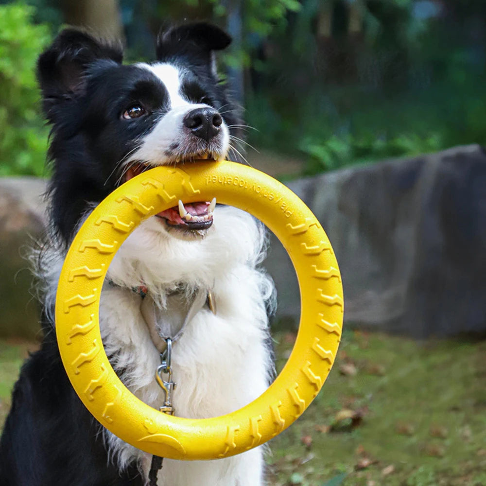 Dog Toy Training Ring Puller Puppy Flying Disk Chewing Toys Throwing Catching Flying Outdoor Interactive Toy Pet Supplies