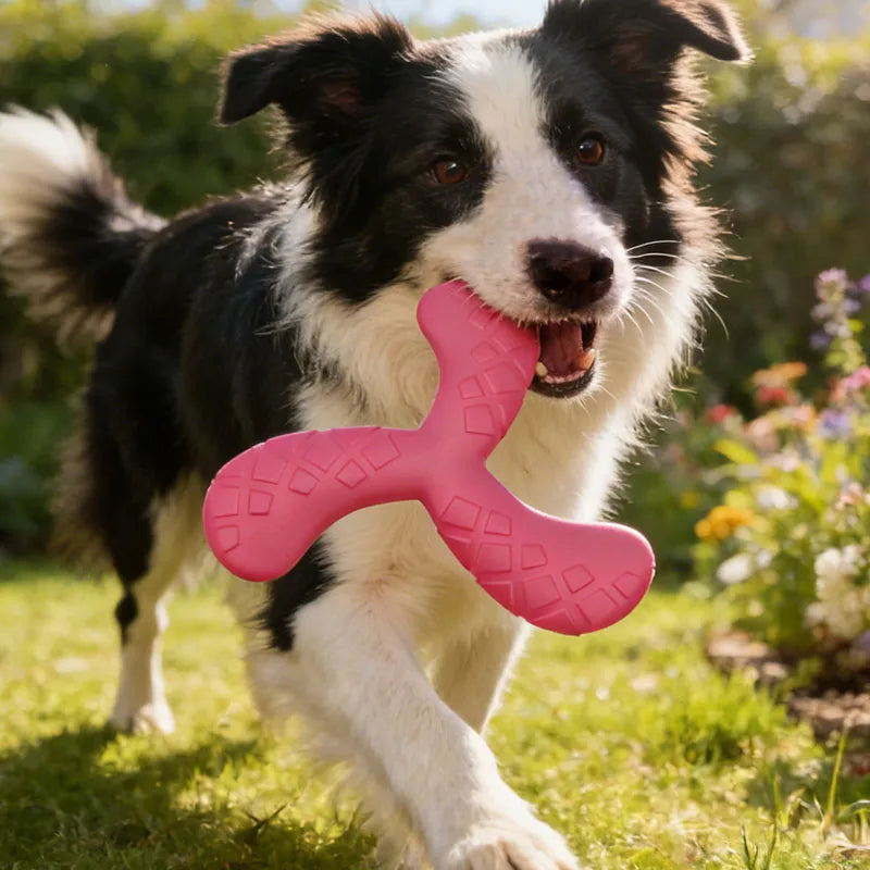 Dogs Eva Boomerang Flying Disc Play Tooth Chew Toy Indestructible Safe Large Dog Tough Toys Resistant Pet Supplies Water Toys