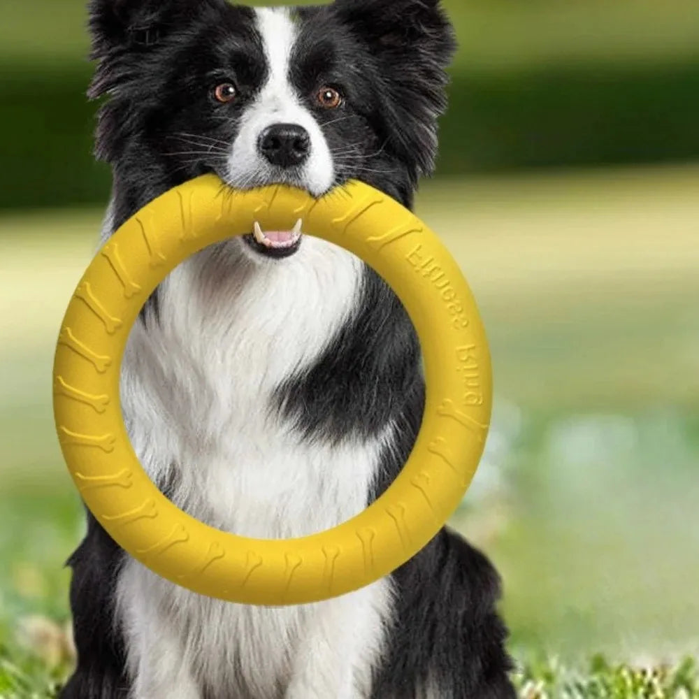 Dog Toy Training Ring Puller Puppy Flying Disk Chewing Toys Throwing Catching Flying Outdoor Interactive Toy Pet Supplies
