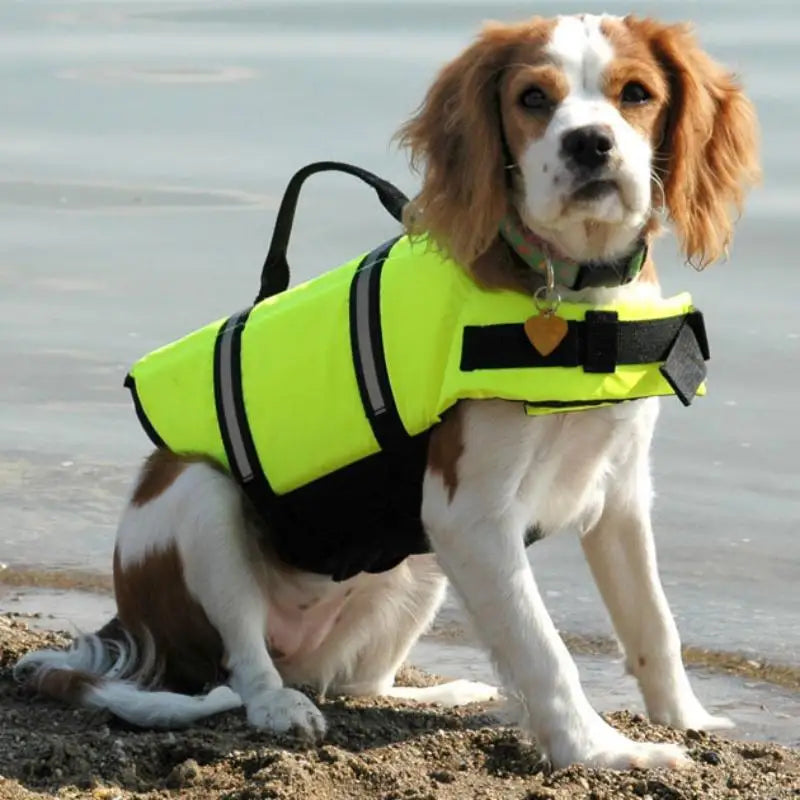 Dogs Safe Vest Life Jacket Summer Clothes Puppy Sleveless Pet Supplies Swimsuit Large Dogs Costume Clothing Adjustable Swimwear