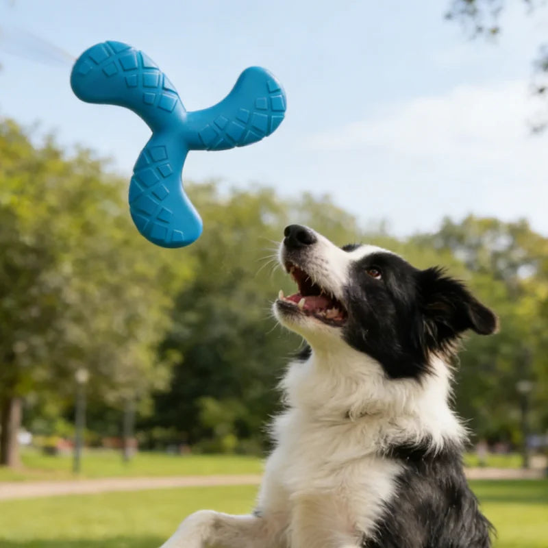 Dogs Eva Boomerang Flying Disc Play Tooth Chew Toy Indestructible Safe Large Dog Tough Toys Resistant Pet Supplies Water Toys