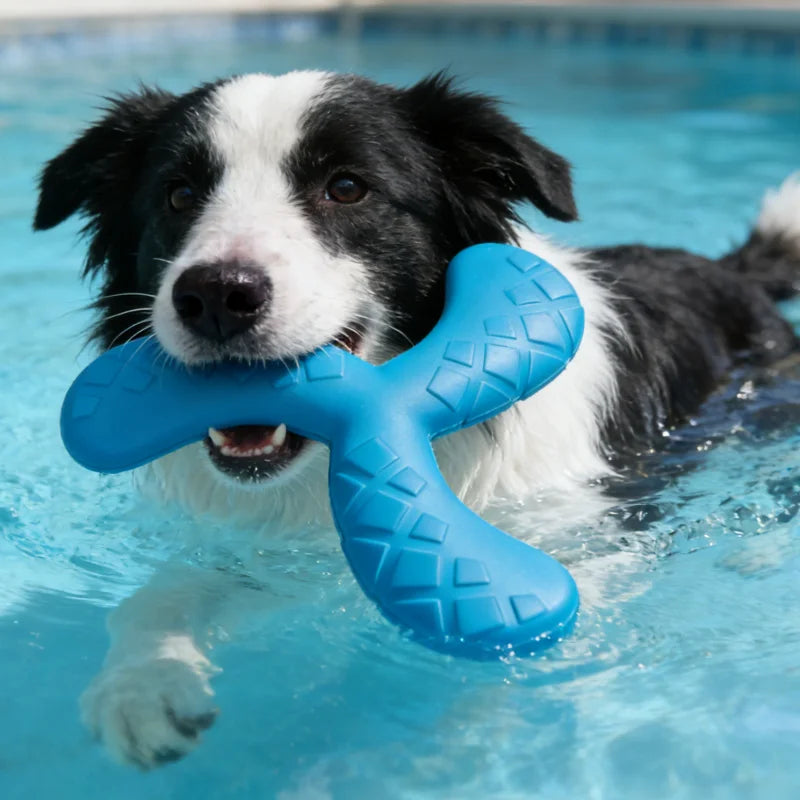 Dogs Eva Boomerang Flying Disc Play Tooth Chew Toy Indestructible Safe Large Dog Tough Toys Resistant Pet Supplies Water Toys