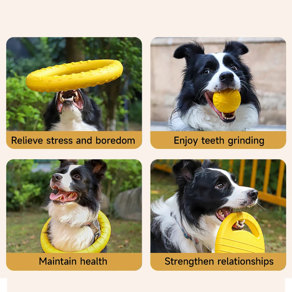 Dog Toy Training Ring Puller Puppy Flying Disk Chewing Toys Throwing Catching Flying Outdoor Interactive Toy Pet Supplies